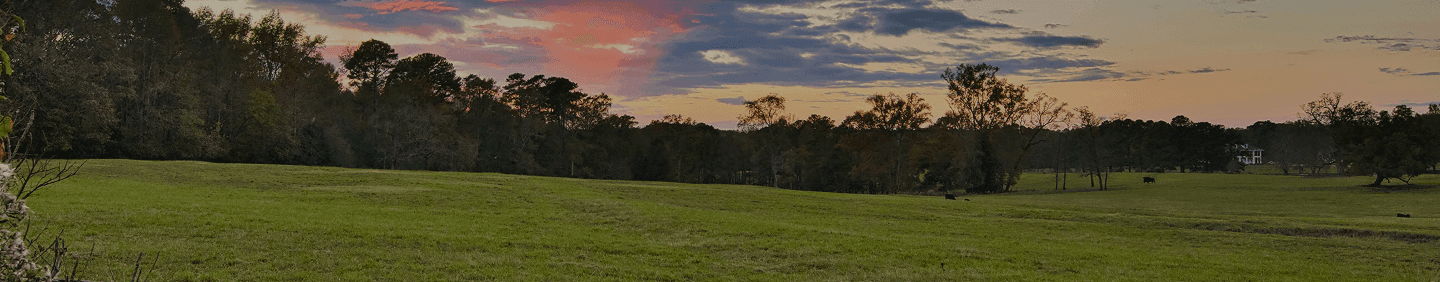 Berkeley County Hero Image