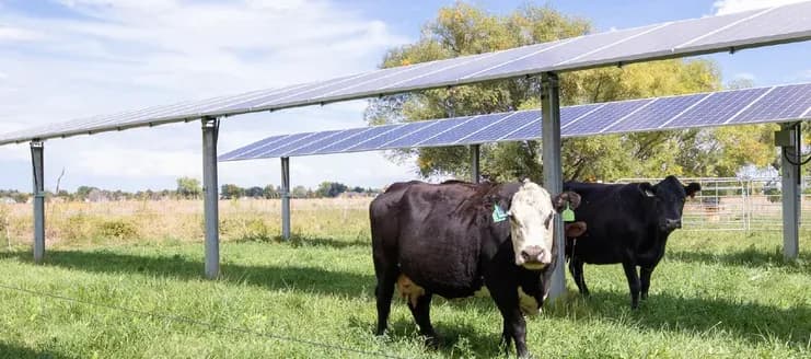 Save the Farm, Save the Future