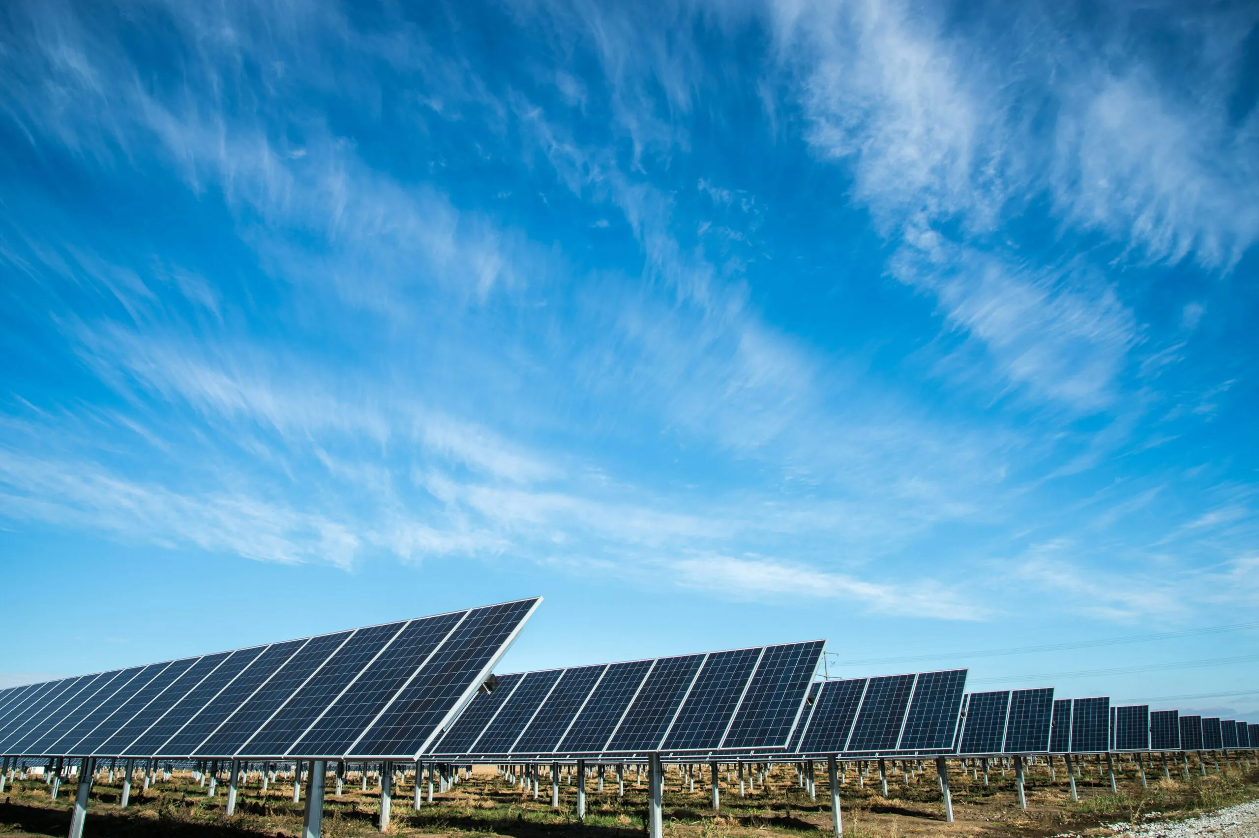 Clean energy groups challenge NC Utilities Commission chair’s order to pause solar projects
