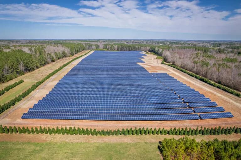 Data shows solar development on farmland avoids driving up food prices